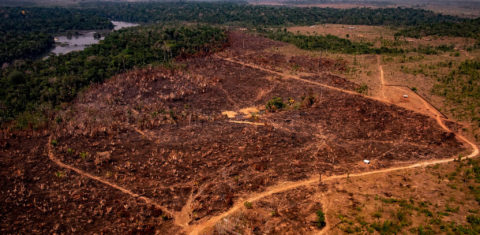 Área de floresta derrubada no noroeste do Mato Grosso: relatório do Mapbiomas mostra que 99% do desmatamento é ilegal e os responsáveis por 75% das áreas desmatadas podem ser identificados( Foto: Mayke Toscano/Secom/MT/Fotos Públicas)