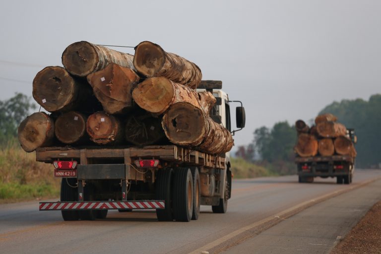 Transporte ilegal de madeira na BR 393, no Amazonas, em 2019: ação pede anulação de despacho do presidente do Ibama, Eduardo Bim, que liberou a exportação de madeira nativa sem fiscalização (Foto: Michael Dantas/WWF)