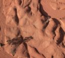 E o homem criou um deserto no Cerrado