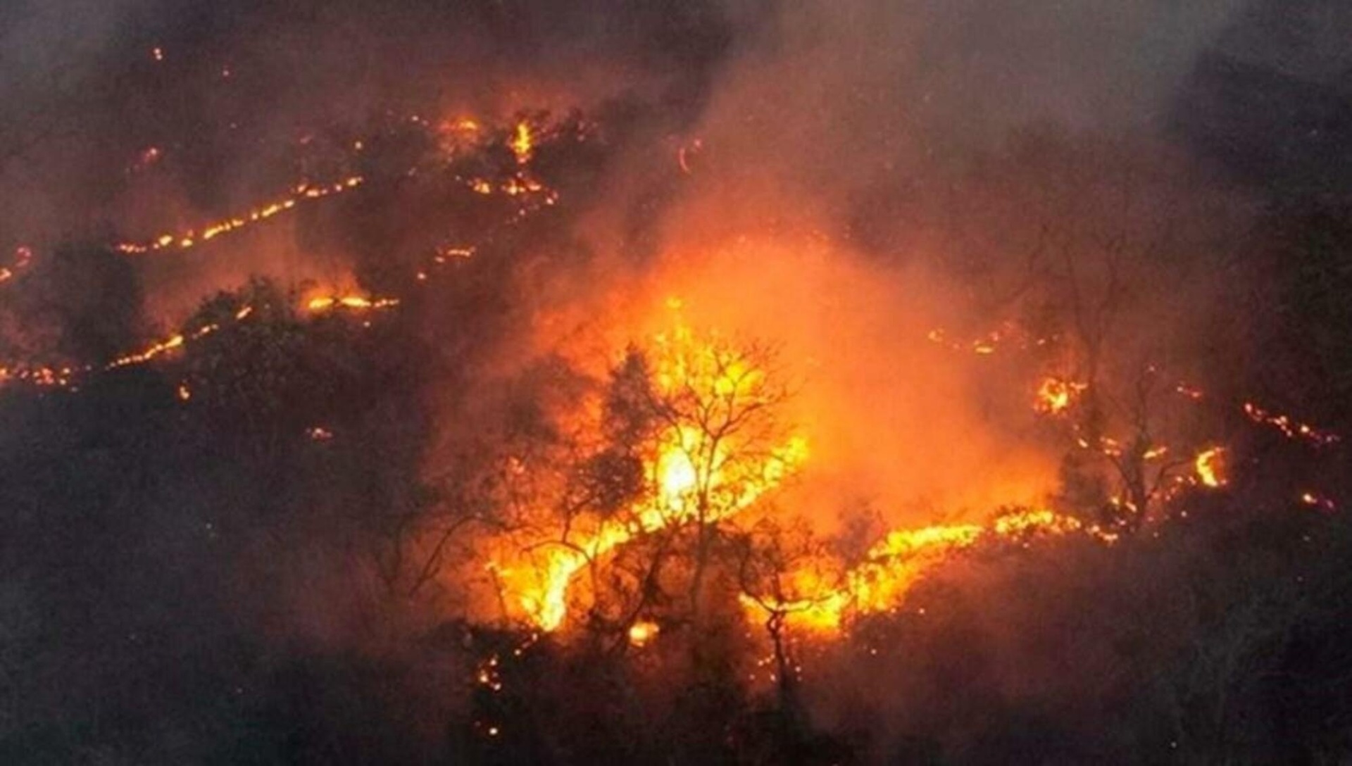 Incêndio em Mato Grosso do Sul: com estiagem prolongada, queimadas batem recorde no Pantanal (Foto: Divulgação/PrevFogo)