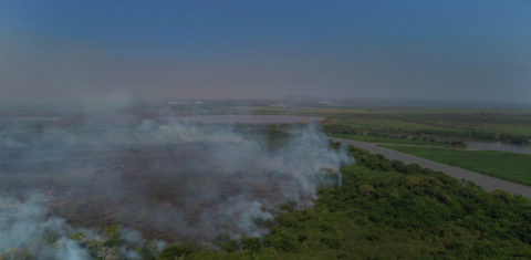 Área do Pantanal em chamas perto de Corumbá: militares do Exército, da FAB e da Marinha reforçam combate ao foto que tem levado nuvens de fumaça na cidade (Foto: CBMS)