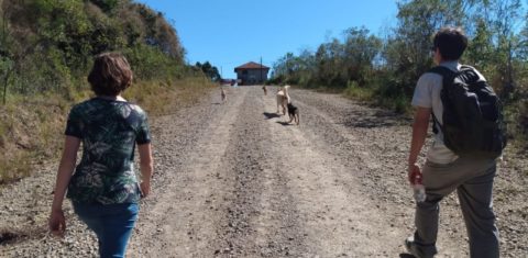 A professora Agnes, acompanhado do filho e do cachorro, a caminho da casa de estudante na zona rural da Serra da Graciosa: apoio pedagógico em domicílio (Foto: Arquivo Pessoal)