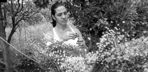 Populações Tradicionais de apanhadores de flores sempre-vivas situadas na Serra do Espinhaço, em Diamantina, Minas Gerais. Foto João Roberto Ripper