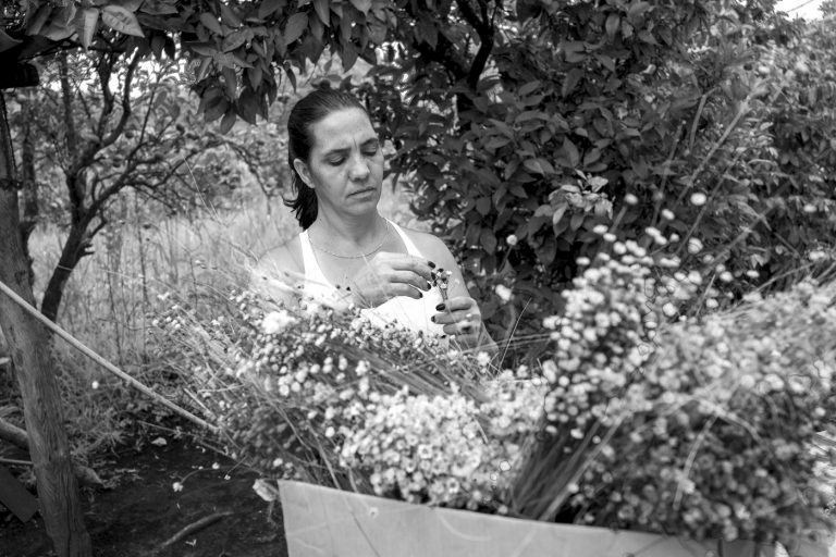 Populações Tradicionais de apanhadores de flores sempre-vivas situadas na Serra do Espinhaço, em Diamantina, Minas Gerais. Foto João Roberto Ripper