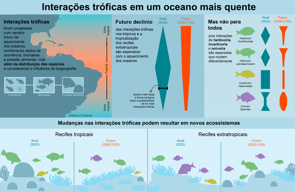 Interações trópicas dos peixes - a forma como se movimentam e a intensidade com a qual buscam comida - devem se modificar com o aquecimento dos oceanos, alertam cientistas (Gráfico: Kelly Inagaki/UFRN)
