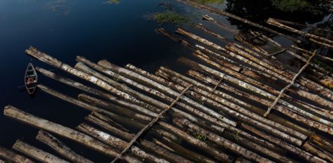 Toras de árvores apreendidas pela PM do Amazonas em operação contra madeireiros ilegais no no Rio Manacapuru em julho: maior taxa de desmatamento em 12 anos na Amazônia (Foto: Ricardo Oliveira / AFP)
