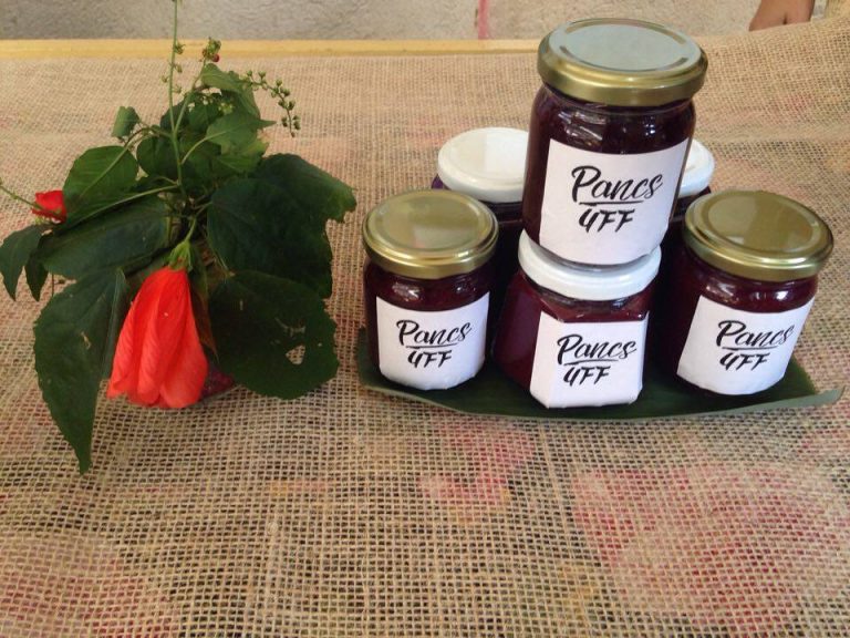 A equipe do Pancs UFF produziu mais de 50 estudos sobre espécies vegetais, incluindo um histórico de cada planta, características essenciais para sua identificação, usos alimentícios e medicinais, além de uma receita para cada espécie (Foto: Divulgação