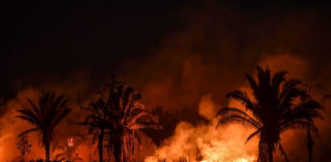 Brasil: incêndio na floresta no sul do Pará em agosto de 2019: seca e queimadas aumentam número de internações por doenças respiratórias como covid-19 (Foto: Nelson Almeida/AFP)