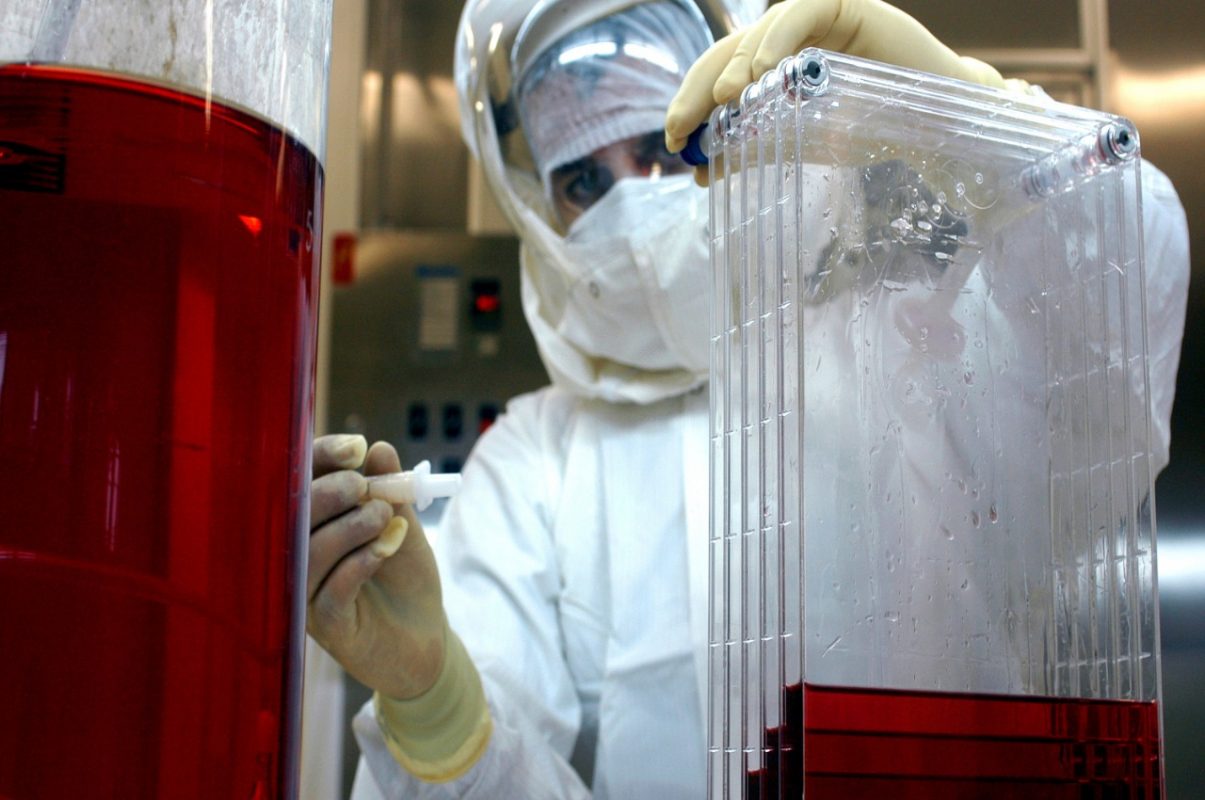 Pesquisa no laboratório da UFSC: fármacos com base em plantas comestíveis para bloquear enzima do coronavírus (Foto: UFSC/Divulgação)