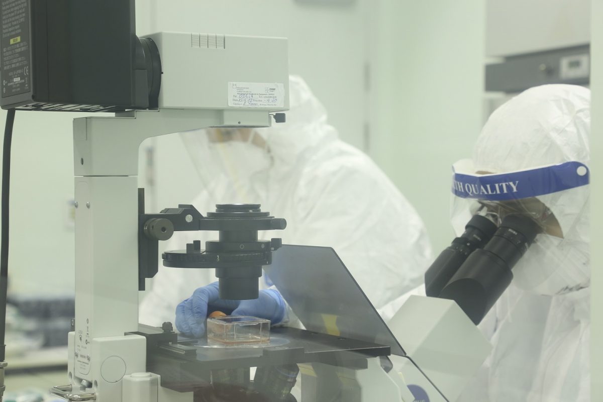 Pesquisa científica: técnicos da Fiocruz investigam a ação de medicamentos antivirais sobre o novo coronavírus. Foto Acervo da Fiocruz