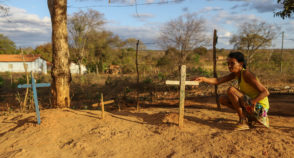 A origem da fome no território Xakriabá