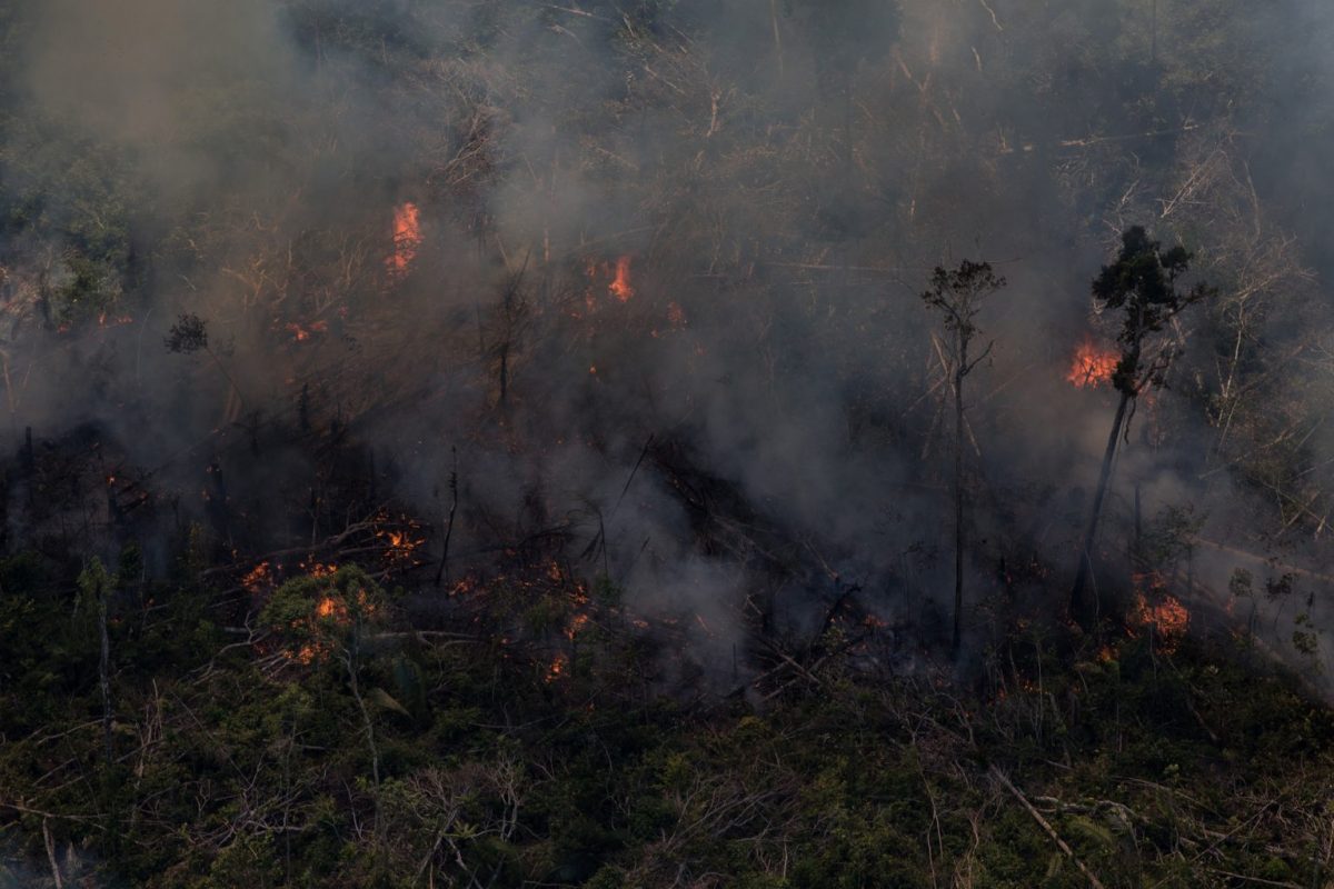 Questão climática: queimada na Amazônia