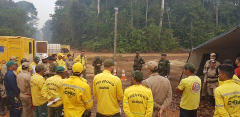 Brigadistas do ICMBio e do Ibama em operação contra queimadas na Floresta Nacional do Jacundá: ambientalistas alertam que fusão fragilizaria conservação e fiscalização (Foto: ICMBio/Divulgação)