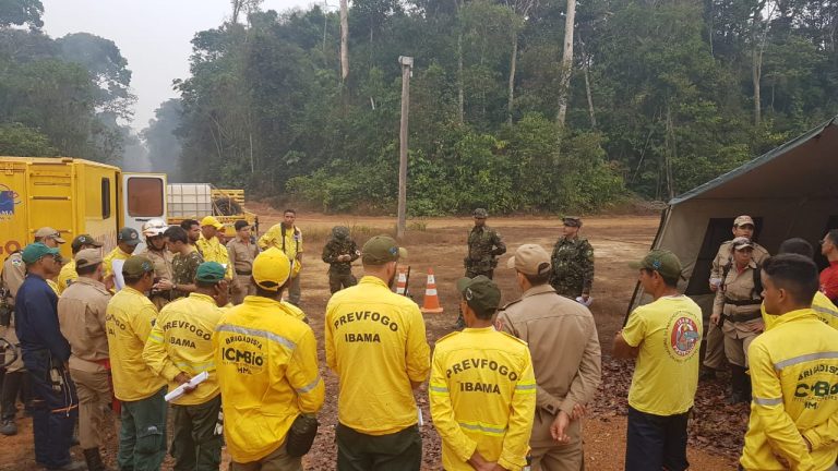Brigadistas do ICMBio e do Ibama em operação contra queimadas na Floresta Nacional do Jacundá: ambientalistas alertam que fusão fragilizaria conservação e fiscalização (Foto: ICMBio/Divulgação)