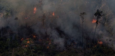 Queimada na floresta em Rondônia: nova lei reduz áreas de preservação e incentiva grilagem (Foto: Bruno Kelly/Amazônia Real - 07/08/2020)