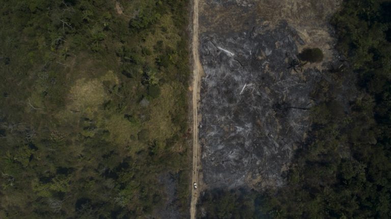 Território alvo de desmatamento em Novo Progresso, Pará: alertas de desmatamento do Inpe em maio de 2021 foram recorde para o mês, passando de mais de mil quilômetros da área desmatada - (Foto: Fernando Souza / AGIF / AFP - 15/082020)