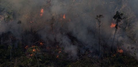 Trecho da Floresta Amazônica, em Rondônia, em chamas no ano passado: junho de 2021 teve o maior número de focos de incêndio desde 2007 (Foto: Bruno Kelly/Amazônia Real)