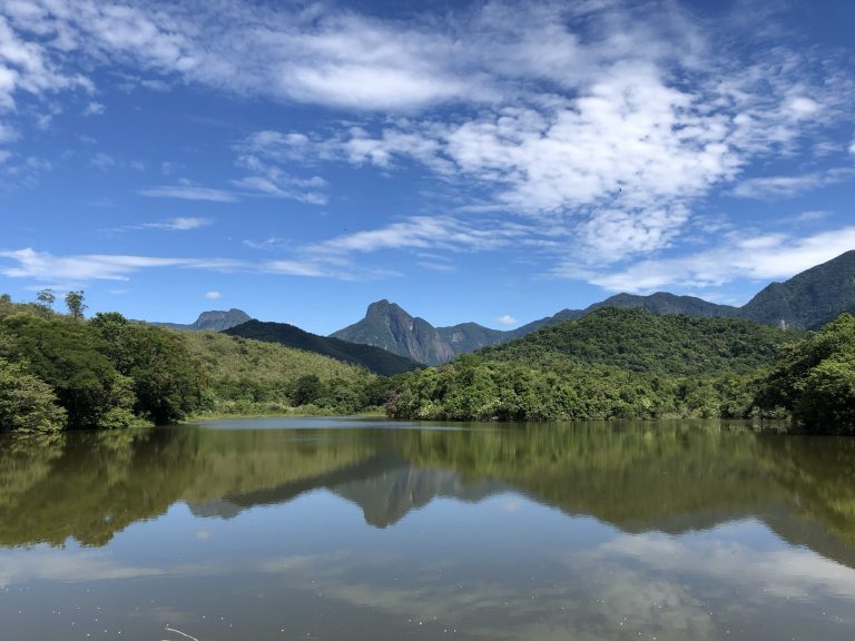 Reserva Ecológica de Guapiaçu, em Cachoeiras de Macacu (RJ): restauração da Mata Atlântica. Foto Tatiana Horta