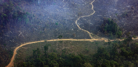 Desmatamento no Parque Nacional do Jamanxim, município de Itaituba, no Pará: sistema Prodes do Inpe mostra aumento de 22% na área desmatada na Amazônia (Foto: Marizilda Cruppe/Amazônia Real - 17/09/2020)