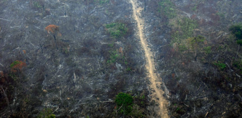Desmatamento e fogo na Floresta Nacional do Jamanxim, município de Novo Progresso, Pará: devastação em unidades de conservação disparou no governo Bolsonaro (Foto: Marizilda Cruppe/Amazônia Real/Amazon Watch - 17/09/2020)