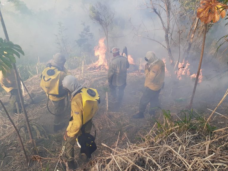 Equipe de combate á incêndio do Inea enfrenta o fogo no Parque Estadual da Pedra Branca: pandemia afastou visitas da Trilha Transcarioca e incidência de queimadas e desmatamento aumentou (Foto: Inea/Divulgação)