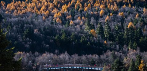 Parque Nacional de Potatso, na província chinesa de Yunnan, onde estão 42% das espécies de plantas e 72% dos animais protegidos do país: na Cúpula da ONU sobre biodiversidade, marcada para a capital da província, chineses vão precisar compromisso com proteção da natureza (Foto: Hu Chao / Xinhua / AFP - 06/11/2019)