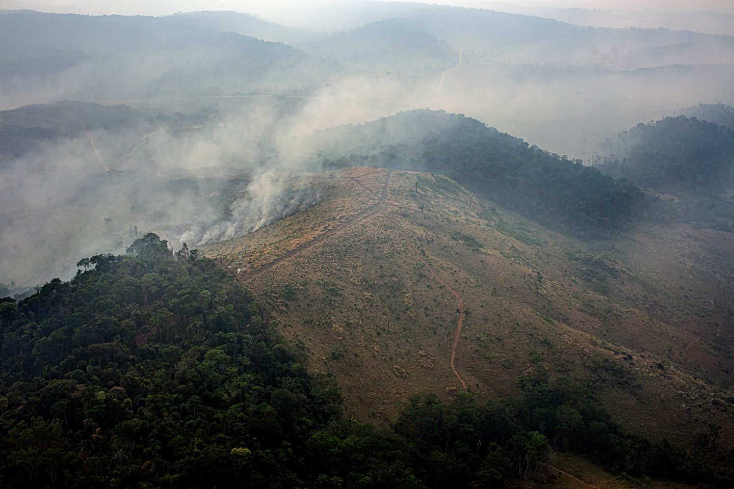 Desmatamento e focos de incêndio no sudoeste do Pará: carta de organizações alerta investidores estrangeiros sobre pauta antiambiental no Congresso (Foto Marizilda Cruppe/Amazon Watch/Amazônia Real - 17/09/2020)