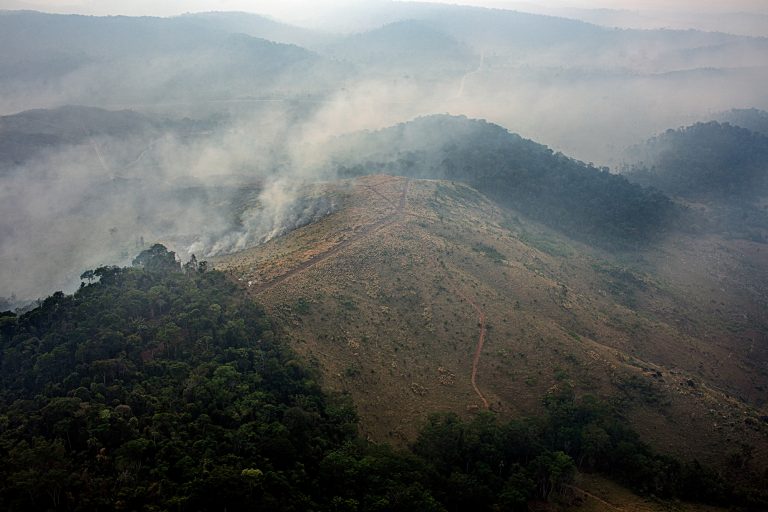 Desmatamento e focos de incêndio no sudoeste do Pará: carta de organizações alerta investidores estrangeiros sobre pauta antiambiental no Congresso (Foto Marizilda Cruppe/Amazon Watch/Amazônia Real - 17/09/2020)