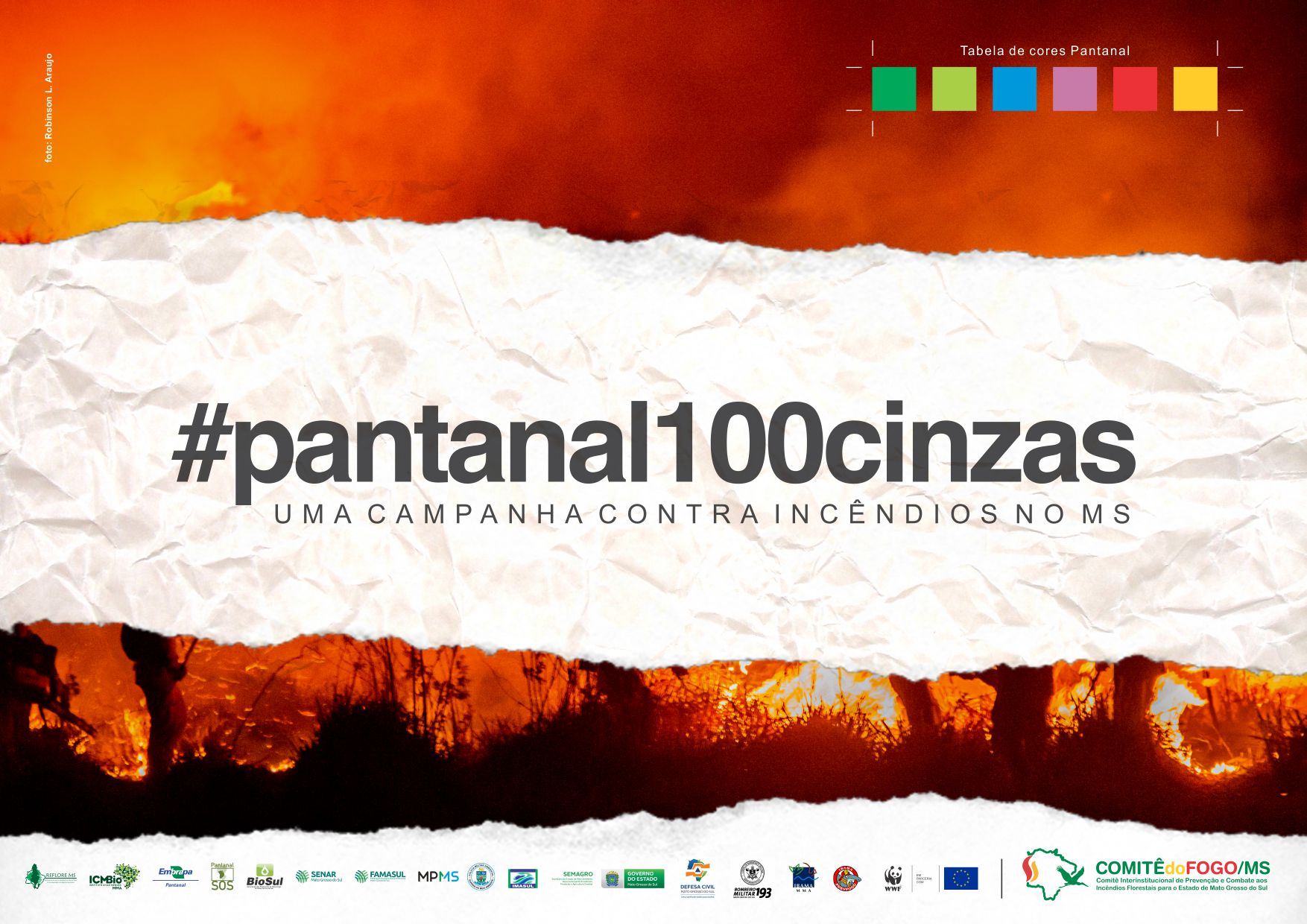 Painel da campanha #Pantanal100cinzas do governo de Mato Grosso: decreto de emergência ambiental e ação de conscientização (Foto: Reprodução)