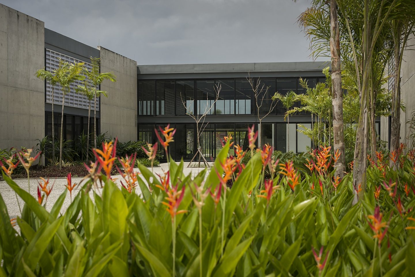 Museu do Pontal