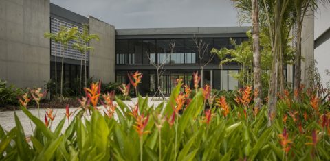 Museu do Pontal
