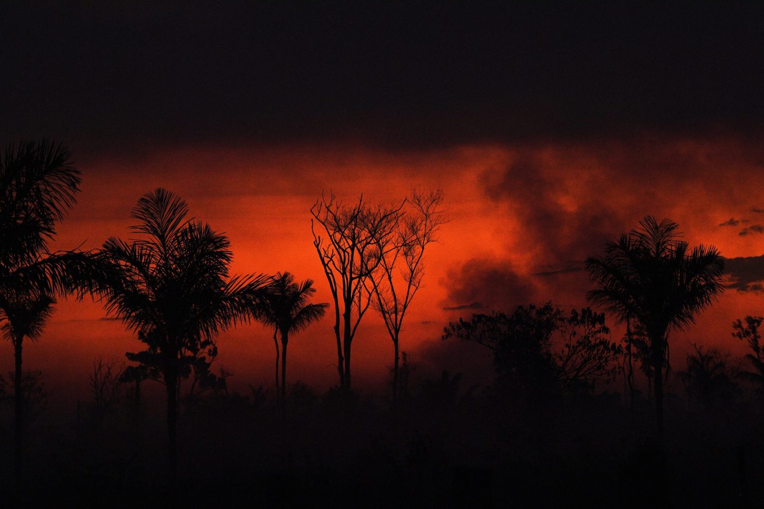 Cinco décadas de meio ambiente em uma história de insustentabilidade