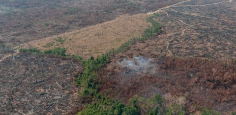 Área da Floresta Amazônica desmatada em Rondônia: Empresas, organizações da sociedade civil e de povos indígenas assinam carta por aprovação de fundo dos EUA para preservação e restauração (Foto: Vinicius Mendonça/Ibama - 28/08/2019)