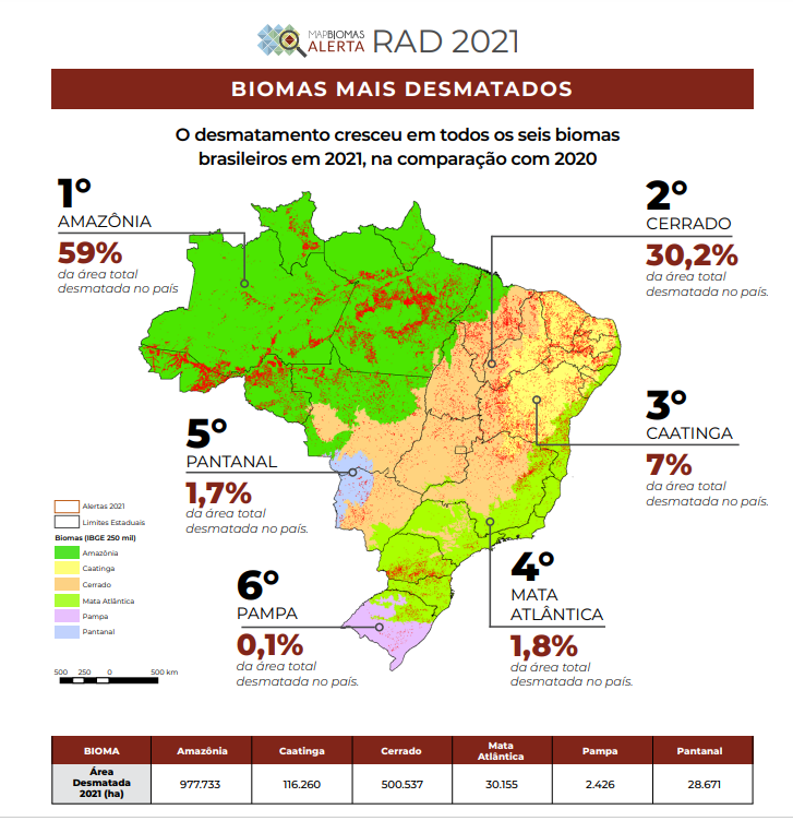 Aumento do desmatamento em todos os biomas (Gráfico: MapBiomas)