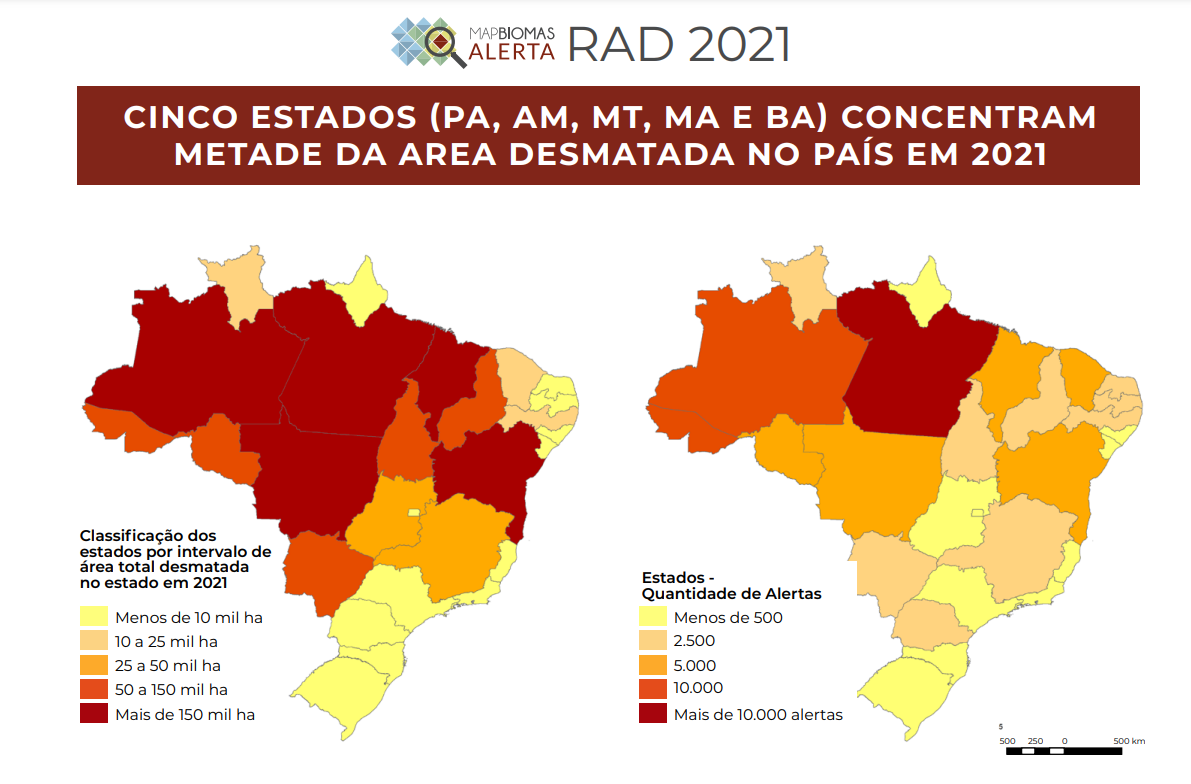 Estados líderes do ranking do desmatamento (Infografia: MapBiomas)