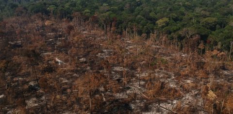 Área desmatada e queimada no município de Apuí, Amazonas: desmatamento aumentou 20% (Foto: Bruno Kelly / Amazônia Real - 09/08/2020)