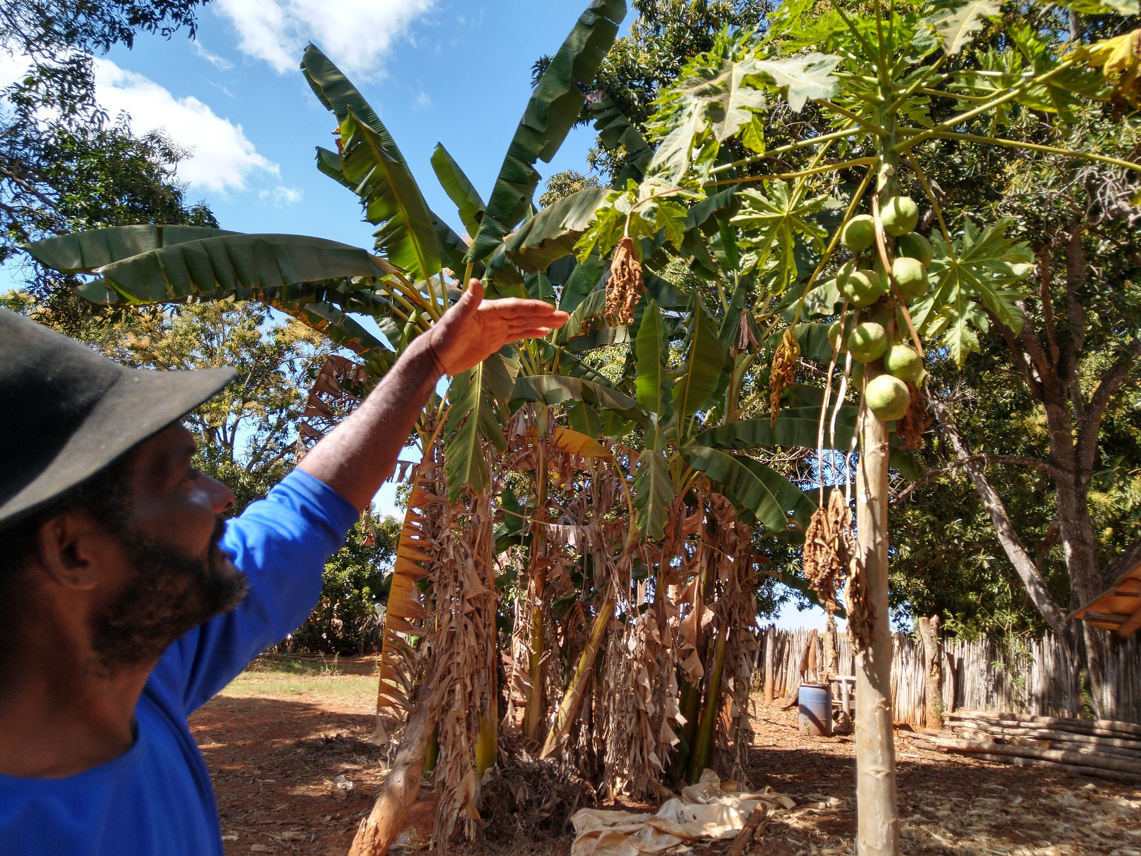 Avanço dos agrotóxicos ameaça permanência de quilombolas cercados por fazendas