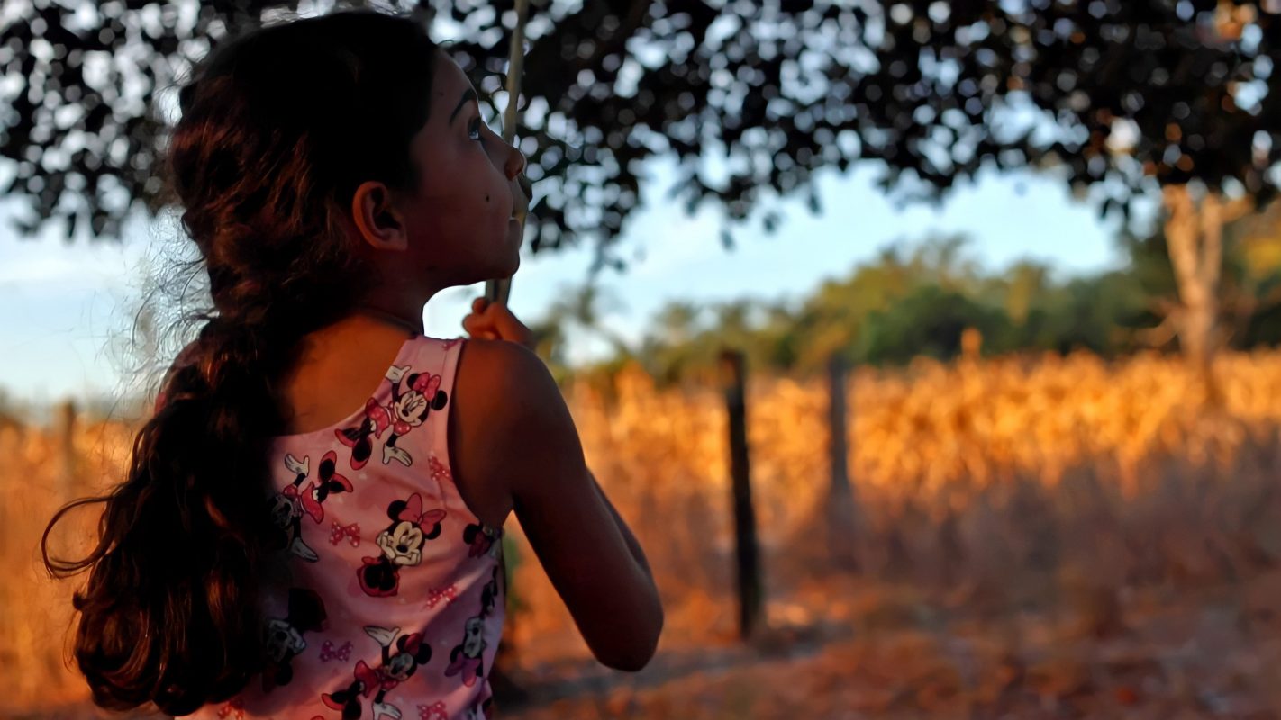 Agrotóxicos uma praga do Brasil