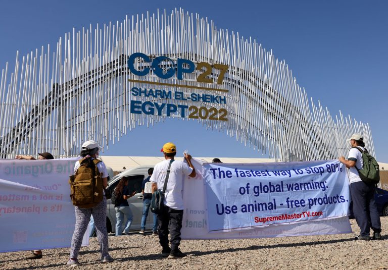 Protesto contra o consumo de carne na entrada do centro de convenções de Sharm el-Scheik, sede da Cop27: Conferência do Clima da ONU começa sob a sombra da guerra e da disputa entre países (Foto: Joseph Eid / AFP)