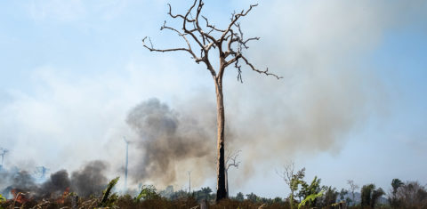 Área de queimada e desmatamento em Novo Progresso, Pará: emissões de gases de efeito estufa do Brasil tiveram em 2021 sua maior alta em quase duas décadas (Foto: Cícero Pedrosa neto/Amazônia Real - 02/09/2022)