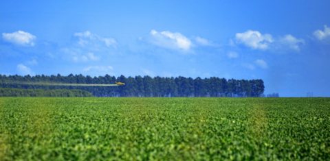 Avião pulveriza com pesticida plantação de soja no Oeste da Bahia: bolsas de reportagem para investigar impacto dos agrotóxicos (Foto: Miriam Fichtner)
