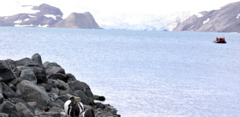 Pesquisadores no mar da Antártica: dados de estações meteorológicas no continente mostram que a temperatura da superfície do mar aumentou ao longo dos últimos 60 anos (Foto: LaGPoM/UFPR)