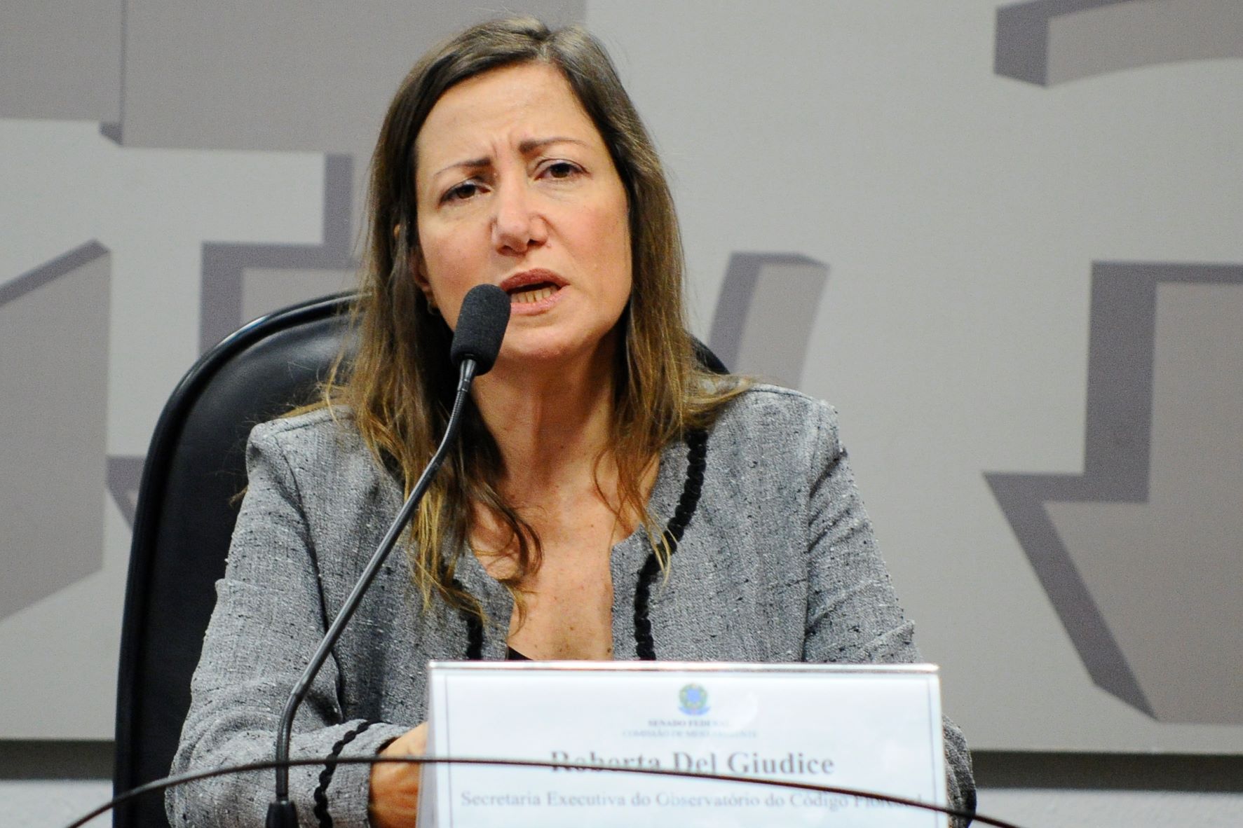 A secretária-executiva do Observatório do Clima, Roberta Dal Giudice, em debate no Congresso: "É preciso dar sinais que o código será implementado" (Foto: Geraldo Magela / Agência Senado / 29/08/2017)