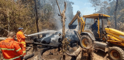 Bombeiros gaúchos combatem fogo no Pampa: bioma registrou aumento de 3372% na área queimada em 2022, de acordo com Monitor do Fogo (Foto: CBMRS)