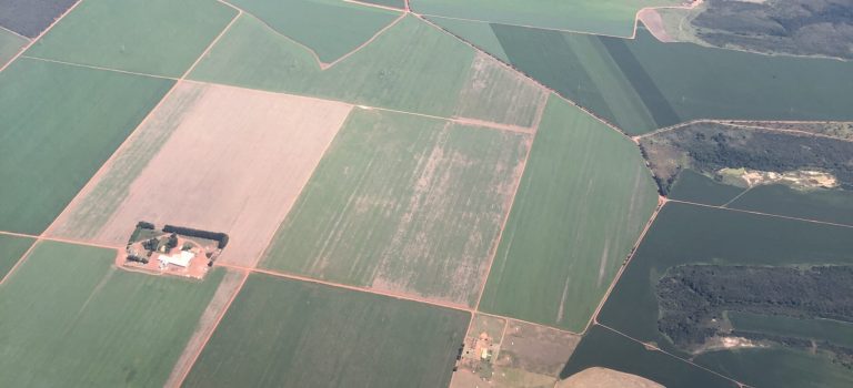 O desmatamento no Cerrado aumentou Área desmatada do Cerrado em Goiás: desmatamento no bioma subiu 25,3% no último ano do mandato de Bolsonaro (Foto: Observatório do Clima)