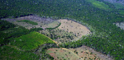 Áreas desmatadas no município de Careiro da Várzea, no Amazonas: avaliação internacional sobre florestas indica pequena redução no desmatamento no mundo em 2021, mas Brasil registra aumento e lidera em área devastada (Foto: Alberto César Araújo/Amazônia Real)