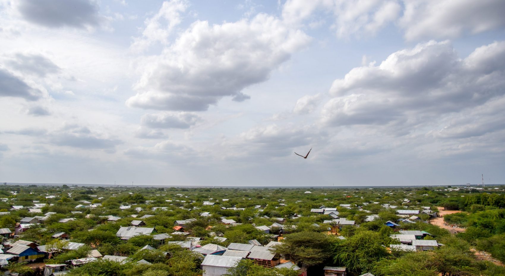 Foto Paul Odingo/MSF Dadaab, hoje, é o terceiro maior campo de refugiados do mundo. Segundo a Acnur, há cerca de cem milhões de pessoas em situação de refugiados globalmente. Foto Paul Odingo/MSF
