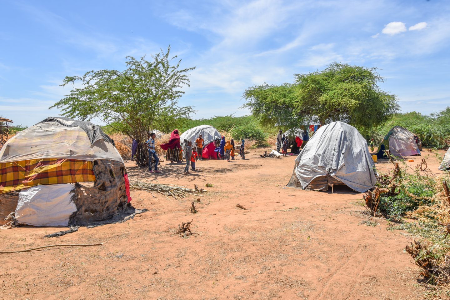 O campo de refugiados de Dadaab, que começou a ser instalado em 1992, hoje é um complexo, já se dividiu em três, chegando a cerca de 400 mil pessoas com registro oficial. Foto Paul Odingo/MSF