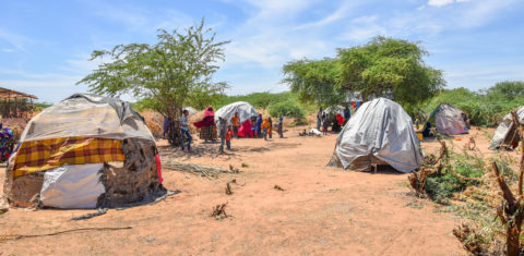 O campo de refugiados de Dadaab, que começou a ser instalado em 1992, hoje é um complexo, já se dividiu em três, chegando a cerca de 400 mil pessoas com registro oficial. Foto Paul Odingo/MSF