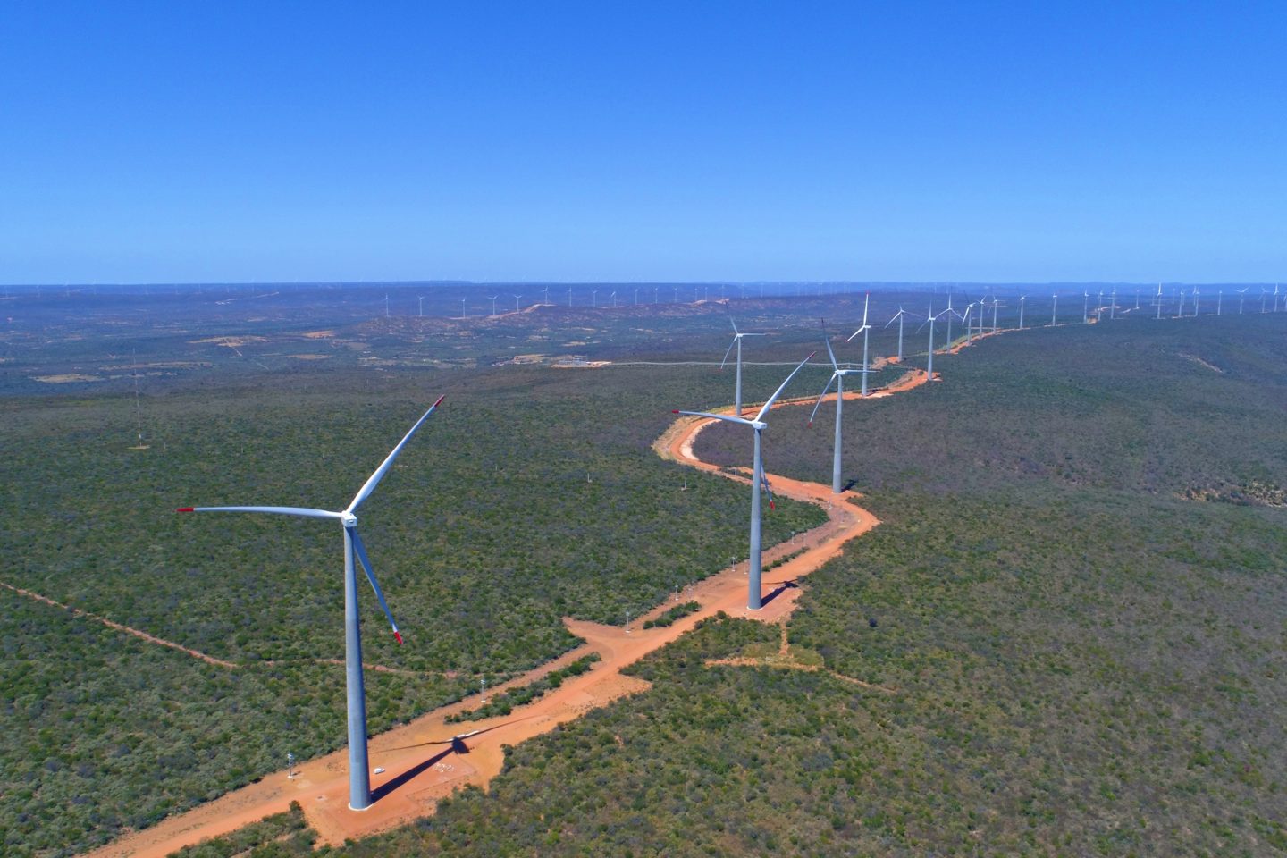 Parque Eólico Lagoa dos Ventos, da Enel (Foto: divulgação)